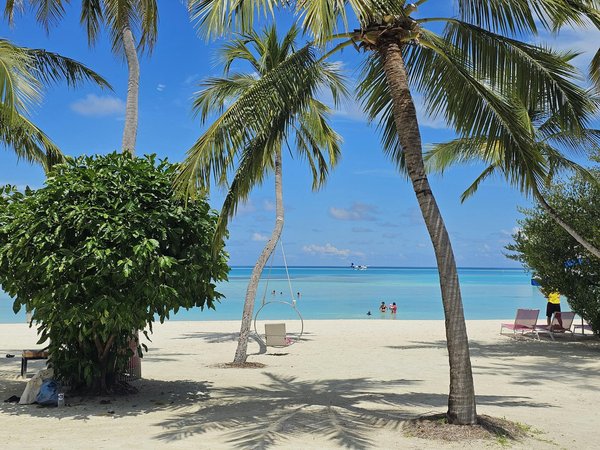 Quels sont les conseils pour camper en toute sécurité dans des zones sujettes aux tsunamis?
